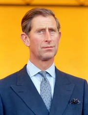 Prinz Charles macht sich Gedanken, wie er mit der Situation zurechtkommen soll.