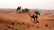 Nicht jeder Sand eignet sich für die Betonherstellung. Wüstensand ist zu rund. Weitere Fotos auf Anfrage.