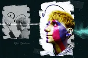 Der Cyborg-Künstler Neil Harbisson ließ sich einen Chip in den Kopf implantieren, der Lichtwellen von Farben in Schallwellen umwandelt. Damit kann er nun „Farben hören“. Aufgrund eines Sehfehlers kann er sonst nur Schwarz-Weiß erkennen.
