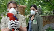 Dr. Susanne Mertens (Elisabeth Lanz, rechts) ist davon &uuml;berzeugt, dass der Papagei von Dr. Tom Berkhoff den gef&auml;hrlichen Virus in den Zoo eingeschleppt hat. Gemeinsam mit Tierpfleger Conny (Thorsten Wolf) separiert sie den Vogel.