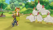 Um zu beweisen, wie gut er Fahrrad fahren kann, muss Findus eine perfekte Bremsung vor einer Hühnerpyramide hinkriegen.