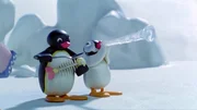Guetnachtgschichtli Pingu Staffel 5 Folge 16 Pingu – Musikalische Talente Pingu und Pinga am Musizieren.