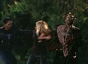 Buffy (Sarah Michelle Gellar)