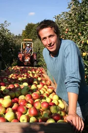 Willi bei der Apfelernte am Bodensee.