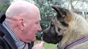 Robert (l.) und Flora, der Japanese Akita