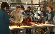 Michaela CONLIN, Michael GRANT TERRY, Tamara TAYLOR, TJ THYNE, Emily DESCHANEL Photographe:  Ville: