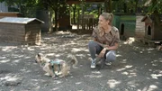 Hundetrainerin Conny Sporrer  +++ Die Verwendung des sendungsbezogenen Materials ist nur mit dem Hinweis und Verlinkung auf RTL+ gestattet. +++