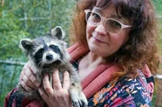 Dass nicht alle so tolerant sind wie sie, bekommt Tierärztin Mathilde Laininger zu spüren – oder vielmehr die kleinen Waschbären, die momentan beinahe täglich aus allen Teilen Berlins zu ihr gebracht werden.