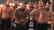 Partystimmung bei den Single Männern. V.l.: Dennis, Mike, Diogo, Max, David, Julien und Bastian.