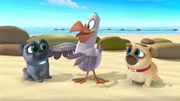 L-R: Bingo (voiced by Issac Ryan Brown), Johnathan (voiced by Jeff Bennett), Rolly (voiced by Sam Lavagnino)