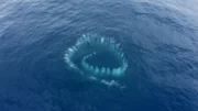 Der Blick von oben offenbart seltsame Spiralen im offenen Ozean vor der Küste Australiens.  +++