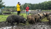 Tarik Rose hoch oben im Norden kurz vor der dänischen Grenze im Örtchen Lexgaard zu Gast. Solveig Steensen führt dort eine idyllische hundertprozentige Freilandhaltung alter Schweinerassen.