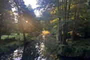 Gefährden Wildnisgebiete die Spreewald-Idylle?