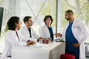 Dr. Leyla Sherbaz (Sanam Afrashteh, l.), Dr. Niklas Ahrend (Roy Peter Link, 2.v.l.), Prof. Karin Patzelt (Marijam Agischewa, 2.v.r.) und Dr. Matteo Moreau (Mike Adler, r.) beraten, wie sie auf Bens Fehlverhalten reagieren sollen.