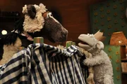 Wolle und Pferd proben für eine Theaterpremiere: Pferd spielt Rapunzel und Wolle den Prinz.