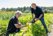 Björn Freitag (re.) besucht den Naturgarten ‘t Hummelhûs in Oudehorne. Hier kümmern sich Anneke Tel- de Vos und ihr Mann Willem (li.) nicht nur um den Anbau von Obst und Gemüse, sondern betreiben auch eine Pflegeeinrichtung für Kinder und Demenzkranke.