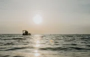 Impressionen vom Zugnetzfischen bei Sonnenaufgang am Neusiedler See.