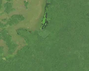 YUCATAN - DigitalGlobe satellite imagery within the southern part of the Yucitan in Mexico of what scientists are thinking is a lost Mayan city.