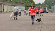 ARD/NDR SPÜRNASE, FÄHRTENSAU & CO. (13), "Sieben Welpen für Perle", am Montag um 16:10 Uhr im ERSTEN. Alizee und Frauchen Silke Ahlquist bei der Aufnahmeprüfung.