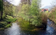 Frühlingserwachen im Enztal. Über 100 Kilometer legt die Enz bis zu ihrer Mündung in den Neckar zurück. Die ersten knapp 40 Kilometer fließt sie durch den Nördlichen Schwarzwald, dem Reiseziel dieser Expedition in die Heimat.