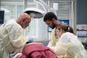Grey's Anatomy Staffel 21 Folge 16 Untersuchen eine verletzte Lunge: James Pickens Jr. als Dr. Richard Webber, Anthony Hill als Dr. Winston Ndugu, Adelaide Kane als Dr. Jules Millin