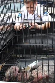 Kathy mit dem verzweifelten Hund