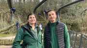 Moderator Eric Mayer ist in Arlandia, einem speziellem Bereich des Wuppertaler Zoos. Hier leben 23 Hyazinth-Aras, die aus verschiedenen Zoos stammen. In Arlandia sollen sich Paare finden, damit im weiteren Schritt Nachwuchs gezüchtet werden kann. Denn Hyazinth-Aras sind eine gefährdete Papageienart. Eric Mayer unterstützt Frauke Herr bei der Arbeit und erfährt, wie in Arlandia mit Hilfe von Monitoring gearbeitet wird, um potentielle Paare zu erkennen.
