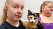 Princess, a calico cat, is brought in for a pregnancy check by Sharon and Jasmine.