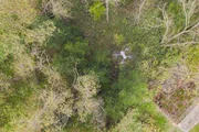 Auch Drohnenbilder helfen, invasive Arten in schwer zugänglichem Gelände aufzuspüren.