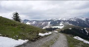 An der Baumgrenze, wo die Natur steil, karg und felsig ist, wird die Forstarbeit beschwerlich und gefährlich.