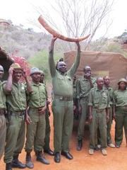 The rangers celebrate capturing a suspected poacher by holding up a confiscated tusk.
