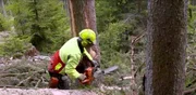 Maschinen kommen hier meistens nicht in Frage, außer der Handmotorsäge.