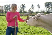 Kulinarische Schätze bei Sarah Konert (Das Fleisch / Blonde d´Aquitaine Rinder) in Bocholt (NRW).
