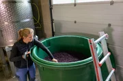 Rotwein-Herstellung: Winzerin Meike Näkel kontrolliert den Alkoholgehalt bei der offenen Maischegärung.