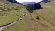 Steirische Almlandschaft.