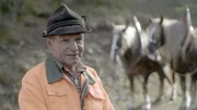 Max Trieb ist als Holzfäller noch mit Pferden unterwegs.