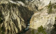 Die gelben Steinwände des Grand Canyons in Yellowstone - die dem Nationalpark seinen Namen gegeben haben.