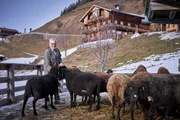Josef Schett bei der Fütterung.