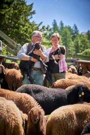 Bernadette & Josef Schett Sommer auf der Alm mit braunen Tiroler Bergschafen.