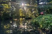 Gesperrte Fließe sorgen im Spreewald für Unmut.