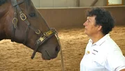 Isabelle Banek versucht Hengst Victor zu lesen.
