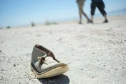 Forsaken Places_Lost Places-Geheime Welten EP American Dream Einst war Salton Sea ein Urlaubsparadies für die Mittelschicht Amerikas – heute ist es ein sterbender, stinkender See mitten in der Wüste.