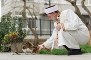 Katzen gelten im Islam als rein. Um den Propheten Mohammed und seine Katze Muezza ranken sich viele Mythen und Legenden.