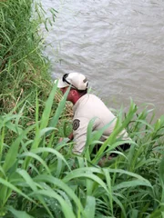Warden Kegan Gould looking for evidence of mountain lion.