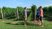 Contributors Kristen Stahl (C) and Christopher Stahl (R) get a tour of Chatham Vineyards and Winery from Jon Wehner (L) as seen on HGTV's Beachfront Bargain Hunt.