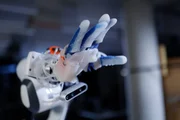 An der TU Berlin wird ein Roboterarm entwickelt, der eigenständig lernen soll.