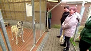 Für seine neue Unabhängigkeit wünscht sich Jan einen Vierbeiner als Freund. Mutter und Sohn machen einen Ausflug ins Tierheim.