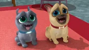 L-R: Bingo (voiced by Issac Ryan Brown), Rolly (voiced by Sam Lavagnino)