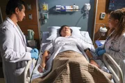 Dr. Alex Park, Billy Carr und Dr. Claire Browne. Die Verwendung des sendungsbezogenen Materials ist nur mit dem Hinweis und Verlinkung auf RTL+ gestattet.