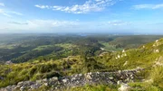 Grün bis zur Küste: Ein knappes Drittel von Menorca ist bewaldet, zudem gibt es viele saftige Wiesen. Neben dem Tourismus ist die Landwirtschaft bis heute eine wichtige Einnahmequelle.
